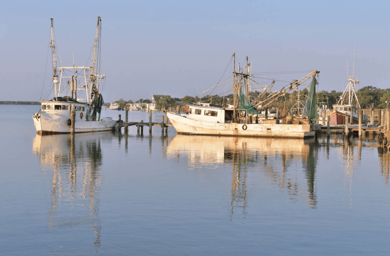dickinson texas bayou